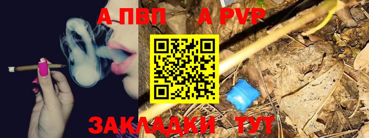 Альфа ПВП СК Братск